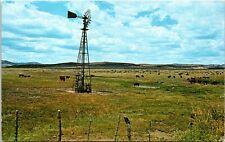 Postcard Texas Cattle Watering Time Fort Clark Springs B125 picture