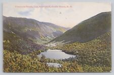 Franconia Notch New Hampshire, Profile House from Artist Bluff, Vintage Postcard picture
