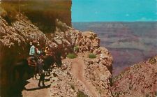 Near The Top of Kaibab Trail Grand Canyon Natl. Park Arizona Vintage Postcard picture
