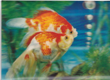 Lenticular 3D c1960 Two Goldfishes in Aquarium. Printed in Japan. Unposted picture