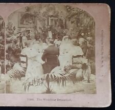 1897, The Wedding Breakfast, B.H. Kilburn Stereoview, SV Card picture