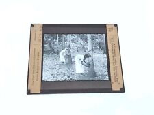 Gathering Milky Juice Rubber Plantation Ceylon - Magic Lantern Glass Slide 1912 picture