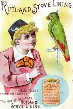 1880's Rutland Stove Lining Parrot Bind Binghamton Victorian Trade Card F83 picture