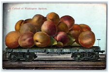 1909 Exaggerated Washington Apricots Train Palouse Washington PNC Postcard picture
