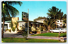Miami FL-Florida, Pine Terrace Motel, Cars, Palm Trees, Antique Vintage Postcard picture