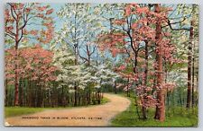 Dogwood Trees in Bloom, Atlanta, Georgia c1948 Postcard S30287 picture