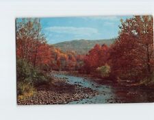 Postcard Gorgeous Fall Scene In the Ozarks USA picture