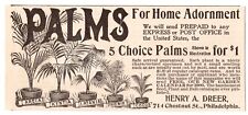 c1880s Palm Trees Home Garden Henry Deer Phialdelphia PA Antique Print Ad picture