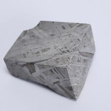 164g Muonionalusta meteorite slice R2037 picture