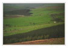 Bird's Eye View of Preseli Hills, Pembrokeshire, Wales Postcard picture