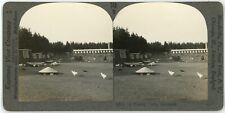 c1900's Real Photo Keystone Stereoview A Poultry Farm, Denmark.  Chickens picture