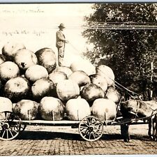 1908 Load of Good Missouri Apple RPPC Exaggerated Real Photo Kansas City, MO A71 picture