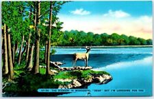 Postcard - The Scenery Is Wonderful 