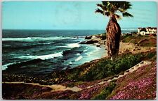 Beautiful California Shoreline - Postcard picture