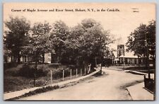 Maple Ave & River Street Catskills Hobart NY C1910's Postcard L15 picture