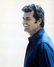 The Rockford Files James Garner 24x36 inch Poster picture
