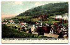 1908 Birds Eye View of Fleischmans & Griffins Corners, Catskill Mtn, NY Postcard picture