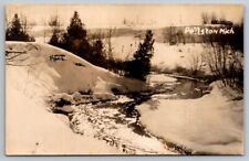 RPPC  Pellston  Michigan  Maple River  Real Photo Postcard  c1920 picture