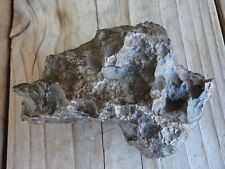 Large 440 Gram CAMPO DEL CIELO Meteorite Fine Collector Grade 15.5 Oz. picture