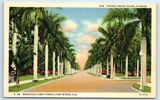 Postcard Stately Royal Palms, Florida linen F118 picture