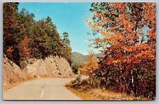 Greetings Forest City Pennsylvania Country Road Mountains Forest VNG PM Postcard picture