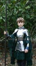 Medieval Knight Circa Armor Kids Costume Wearable Halloween Costume Replica picture