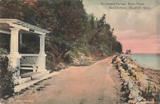 Dwitewood Springs Shore Drive Mackinac Island Michigan MI 1912 Postcard picture