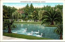 Jacksonville, FL Florida Confederate Park, Swans on water. picture