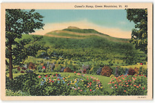 Postcard Camel's Hump, Green Mountain, VT Unposted VPC03. picture
