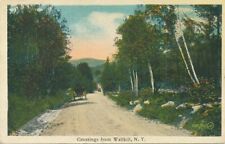 Greetings from Wallkill NY New York Horse and Buggy on Rural Road - pm 1920 - WB picture