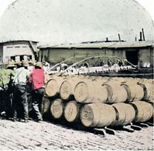 1920s New Orleans Levee Workers Loading Sugar Color Stereoview Card 223 picture