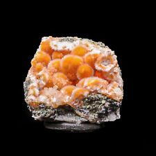 Thomsonite Orange Rare Find Natural Mineral Specimen # B 6873 picture