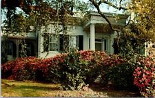 Natchez, MS - Green Leaves Postcard Chrome Unposted Antebellum Home Mansion picture