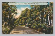 Postcard Greetings from Powhatan Point Ohio c1959 picture