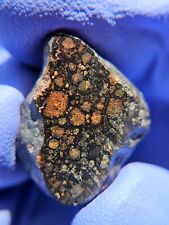Meteorite**NWA Unclassified, CV3**5.329 gram, Carbonaceous Chondrite W/CAI's picture