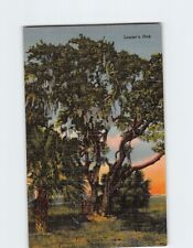Postcard Lanier's Oak Sidney Lanier Georgia USA picture