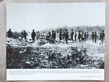 11x14 Photo American Civil War Battery B, 1st Pennsylvania Light Artillery Army picture