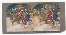 Antique 1904 Feeding Deer Kasuga Taisha Temple Nara Japan Stereo Card P293 picture