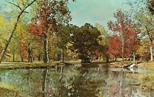 Vintage Postcard Platt National Park Sulphur OK Oklahoma Flower Park Area Fall picture