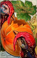 After The Football Game Thanksgiving Postcard 1910s Turkeys & Pumpkin Gilded picture
