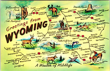 Postcard - Greetings from Wyoming picture