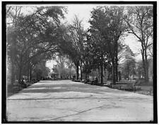 Forsyth Park, Savannah, Georgia c1900 OLD PHOTO picture