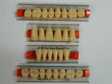 HALLOWEEN PROP - Full Set of Dental Quality Human Resin Teeth for Prop Building picture
