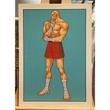 1993 Capcom Topps Street Fighter II Trading Card Sagat #65 Retro Vintage Gaming picture