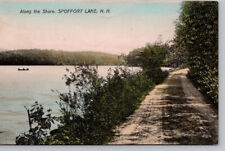 Postcard NH Along The Shore Spoffort Lake New Hampshire picture