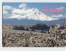 Postcard Mt. Hood Oregon USA picture