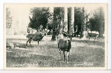 RPPC - Hunting Deer in the Forest 1945 - 1950 Signed J. H. Eastman picture