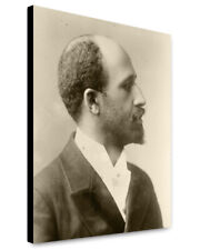 Canvas Print: Dr. W.E.B. Du Bois, 1900 picture