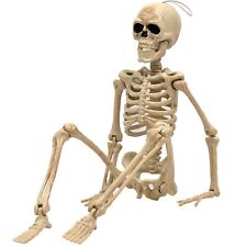 36 Posable Skeleton Halloween Decorative Mannequin - Hyde & EEK Boutique picture