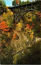 Quechee Gorge Vermont Ottauquechee River FOrest Fall Autumn Vintage Postcard picture